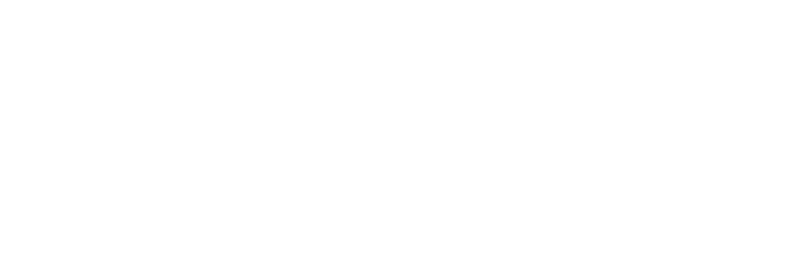 Zinni Logo